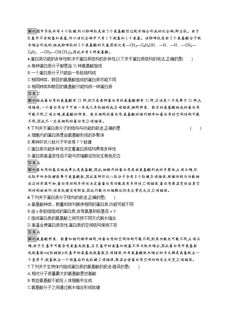 第2章　组成细胞的分子 第4节　蛋白质是生命活动的主要承担者 试卷02