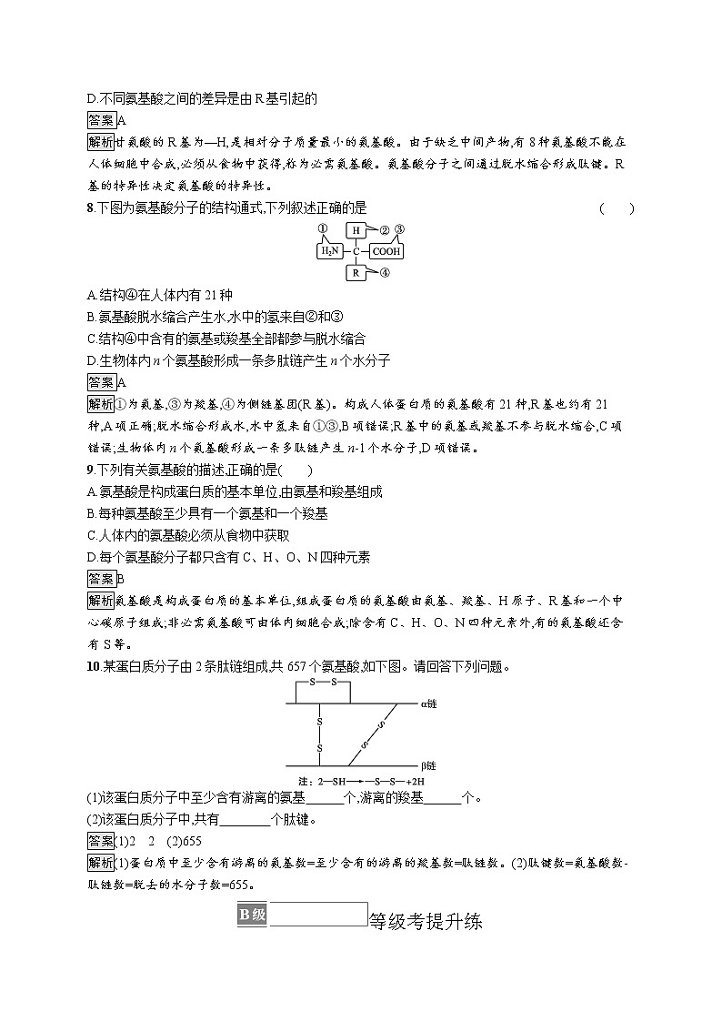 第2章　组成细胞的分子 第4节　蛋白质是生命活动的主要承担者 试卷03