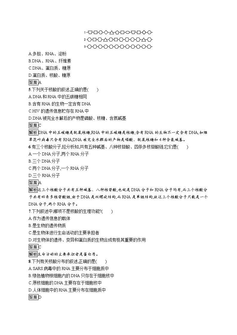 第2章　组成细胞的分子 第5节　核酸是遗传信息的携带者 试卷02