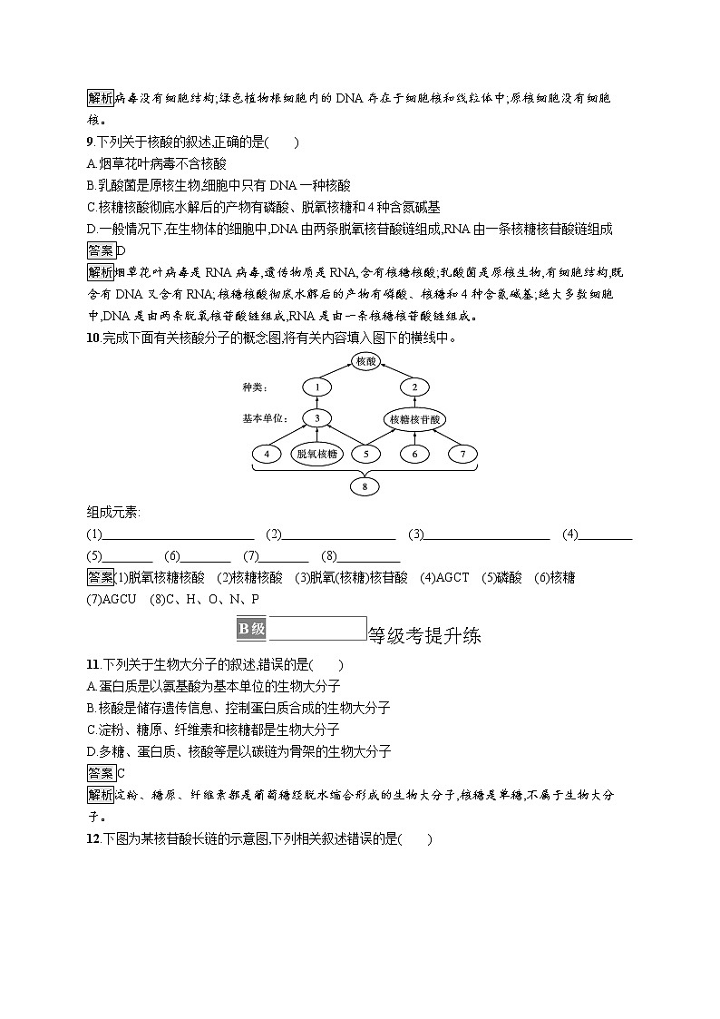 第2章　组成细胞的分子 第5节　核酸是遗传信息的携带者 试卷03