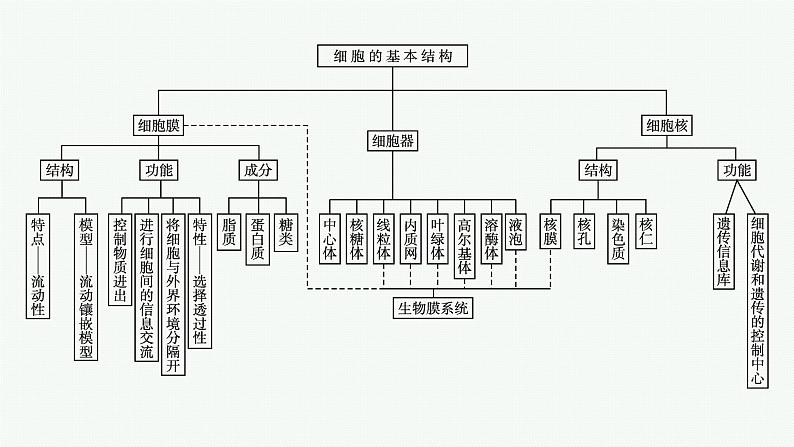 第3章　细胞的基本结构 章末整合课件PPT04