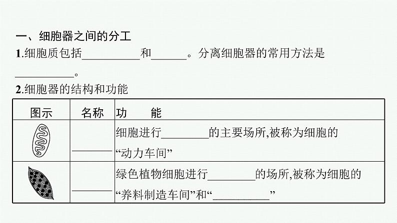 第3章　细胞的基本结构 第2节　细胞器之间的分工合作课件PPT第5页