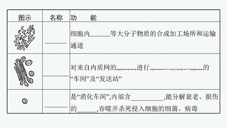 第3章　细胞的基本结构 第2节　细胞器之间的分工合作课件PPT第6页