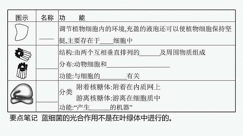 第3章　细胞的基本结构 第2节　细胞器之间的分工合作课件PPT第7页