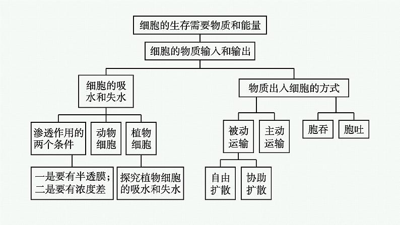 第4章　细胞的物质输入和输出 章末整合课件PPT第4页