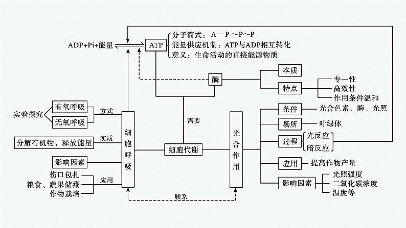 第5章　细胞的能量供应和利用 章末整合课件PPT第4页