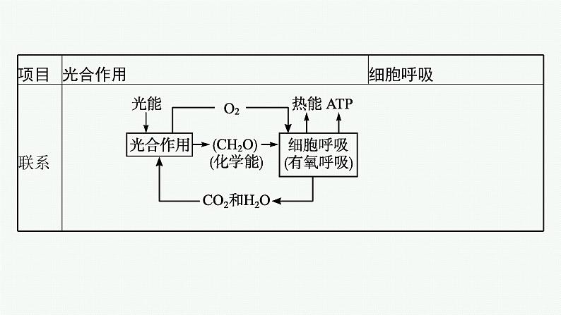 第5章　细胞的能量供应和利用 章末整合课件PPT第7页