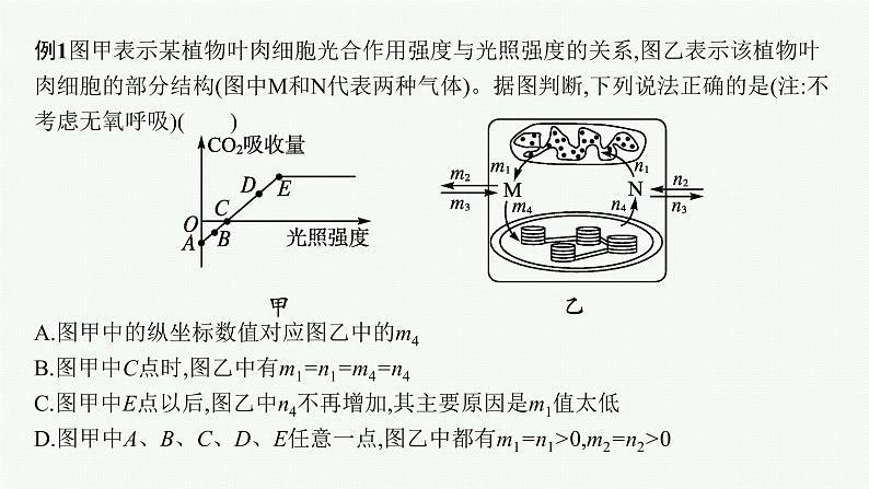 第5章　细胞的能量供应和利用 章末整合课件PPT第8页