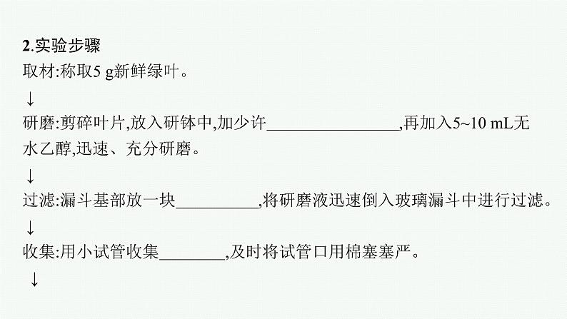 第5章　细胞的能量供应和利用 第4节　第1课时　捕获光能的色素和结构课件PPT06