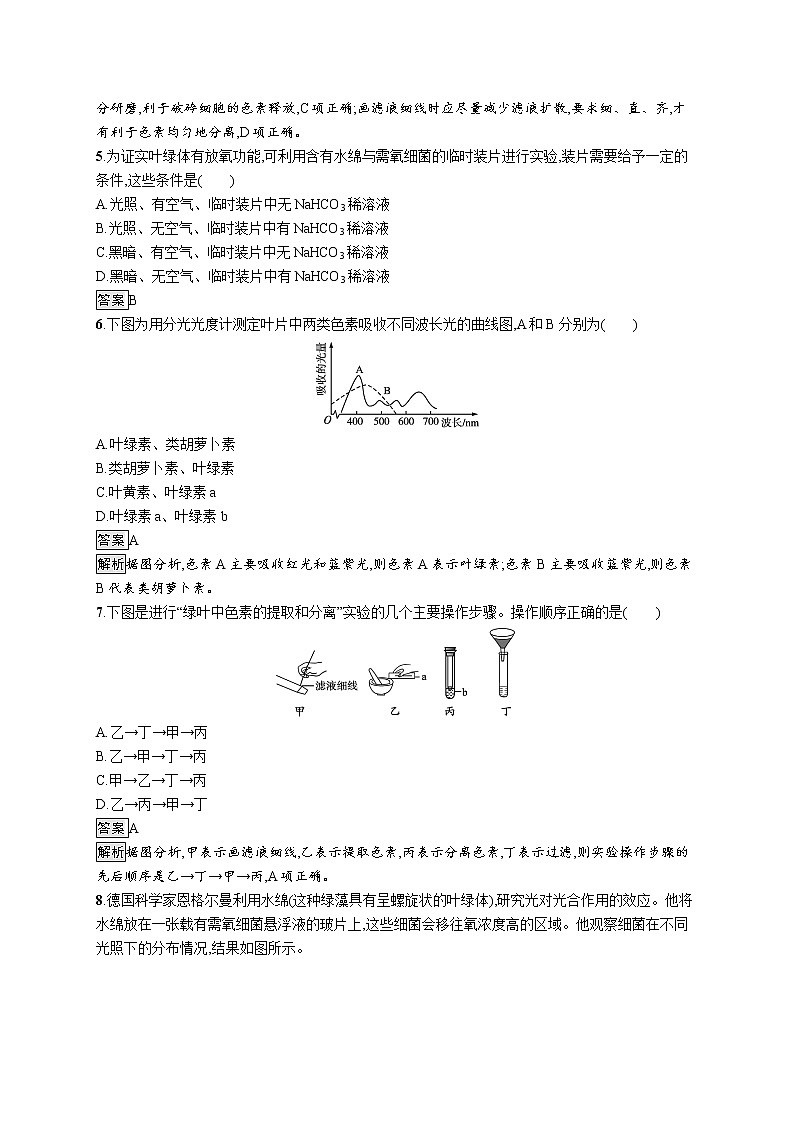 第5章　细胞的能量供应和利用 第4节　第1课时　捕获光能的色素和结构 试卷02