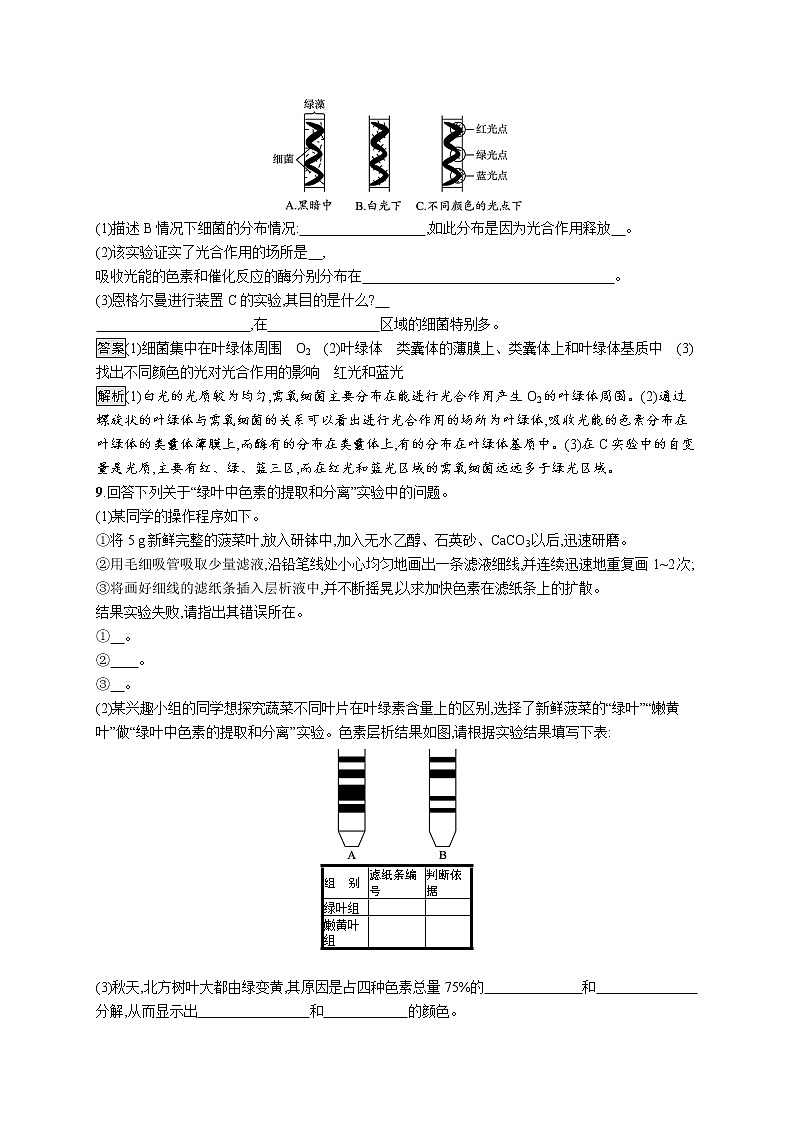 第5章　细胞的能量供应和利用 第4节　第1课时　捕获光能的色素和结构 试卷03