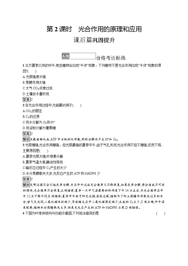 第5章　细胞的能量供应和利用 第4节　第2课时　光合作用的原理和应用 试卷01