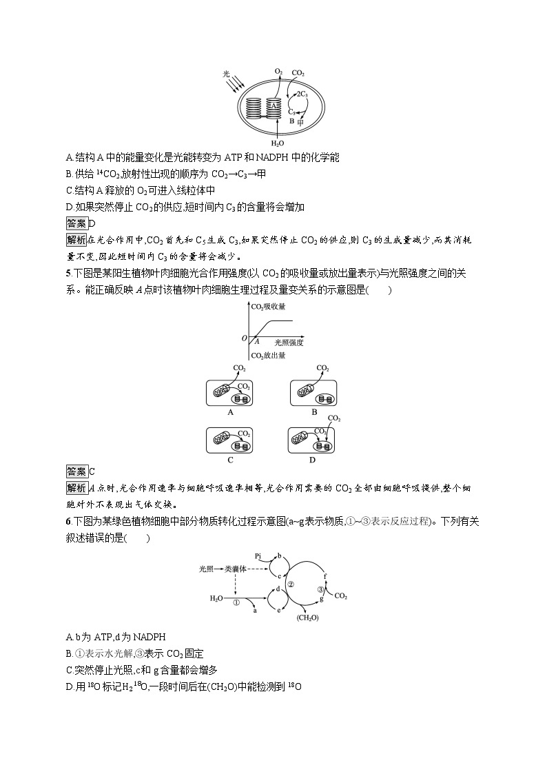 第5章　细胞的能量供应和利用 第4节　第2课时　光合作用的原理和应用 试卷02