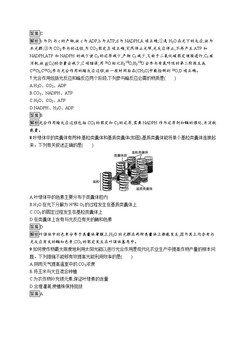 第5章　细胞的能量供应和利用 第4节　第2课时　光合作用的原理和应用 试卷03