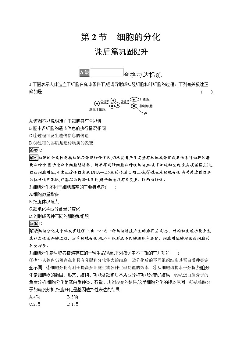 第6章　细胞的生命历程 第2节　细胞的分化 试卷01