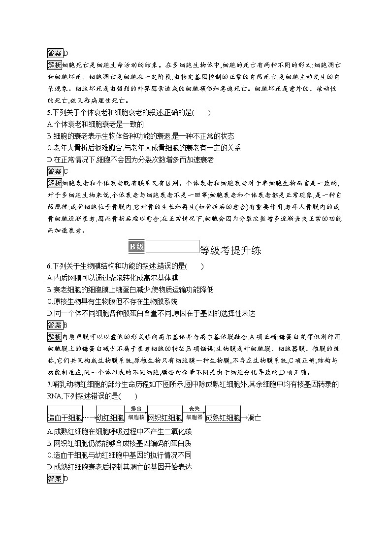 第6章　细胞的生命历程 第3节　细胞的衰老和死亡 试卷02