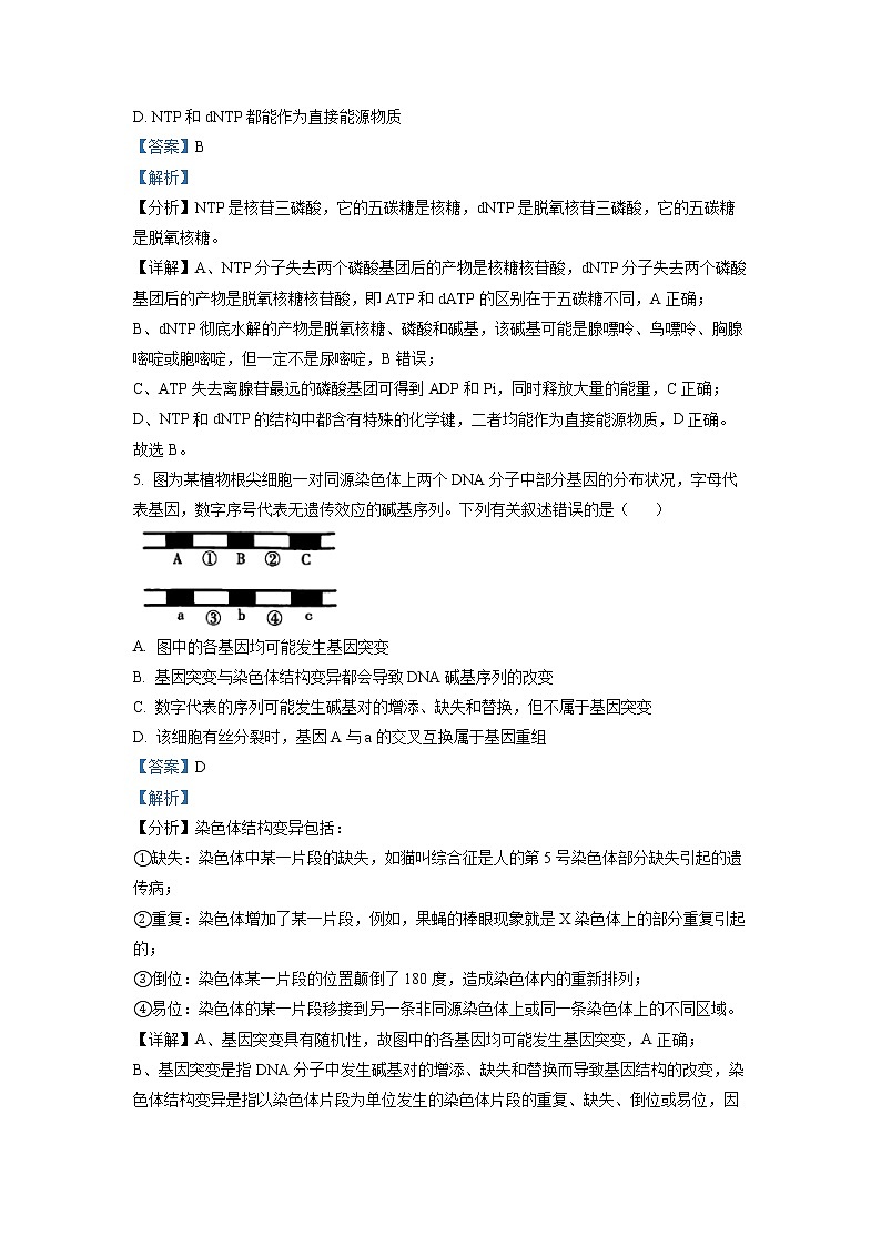 浙江省杭州地区（含周边）重点中学2022-2023学年高三生物一模试题（Word版附解析）第3页