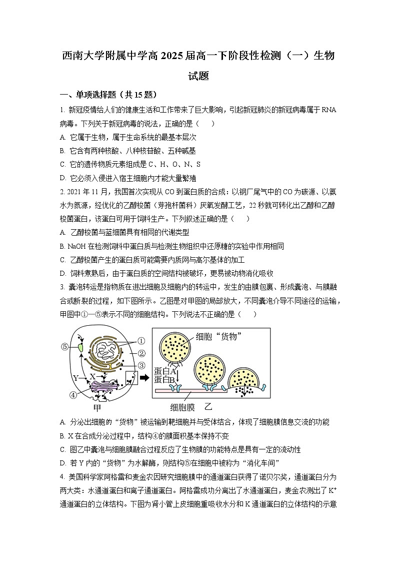重庆市西南大学附属中学2022-2023学年高一生物下学期第一次月考试题（Word版附答案）01