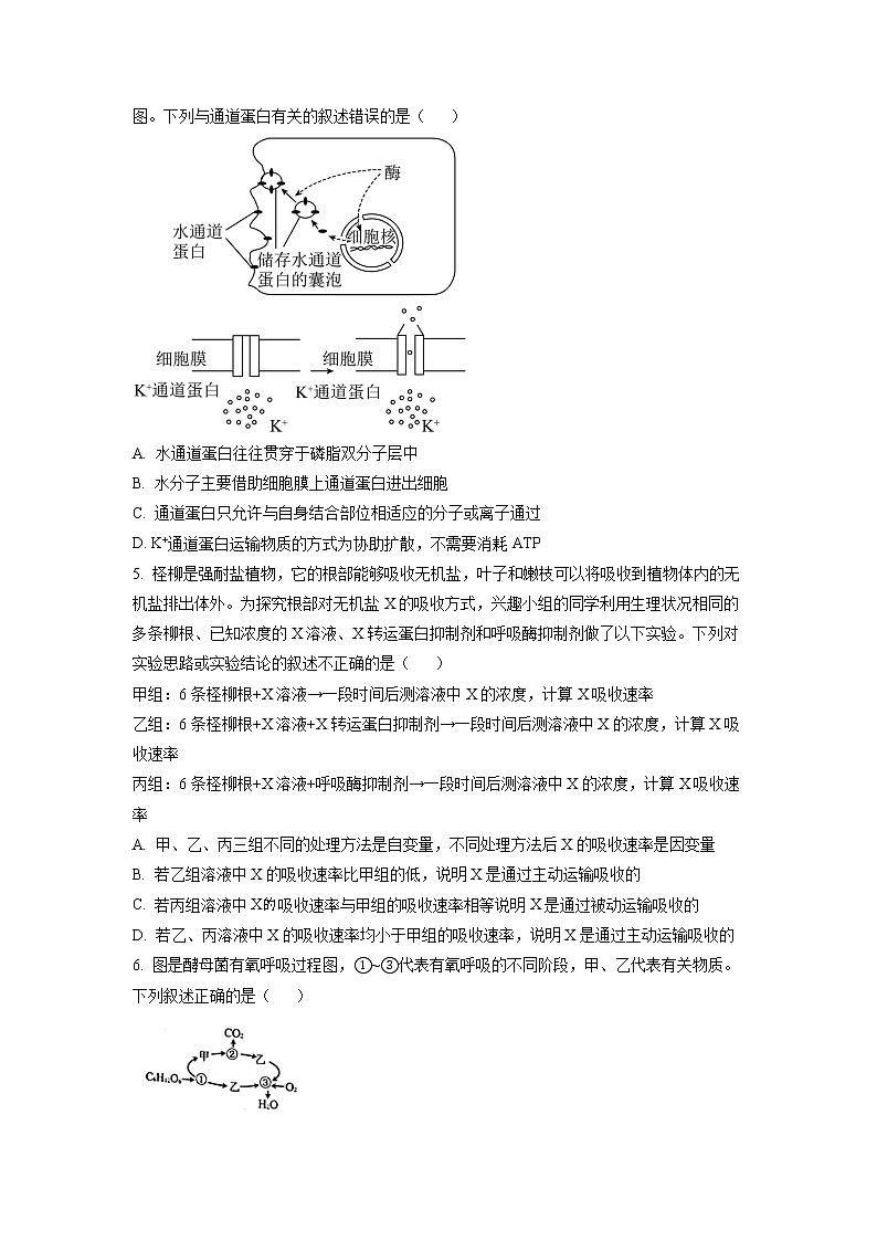 重庆市西南大学附属中学2022-2023学年高一生物下学期第一次月考试题（Word版附答案）02