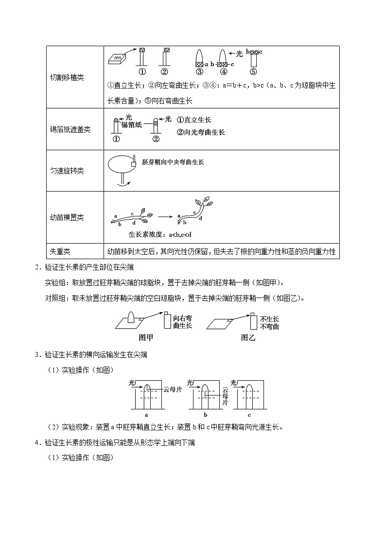 高中生物高考解密19 植物的激素调节（讲义）-【高频考点解密】2021年高考生物二轮复习讲义+分层训练02