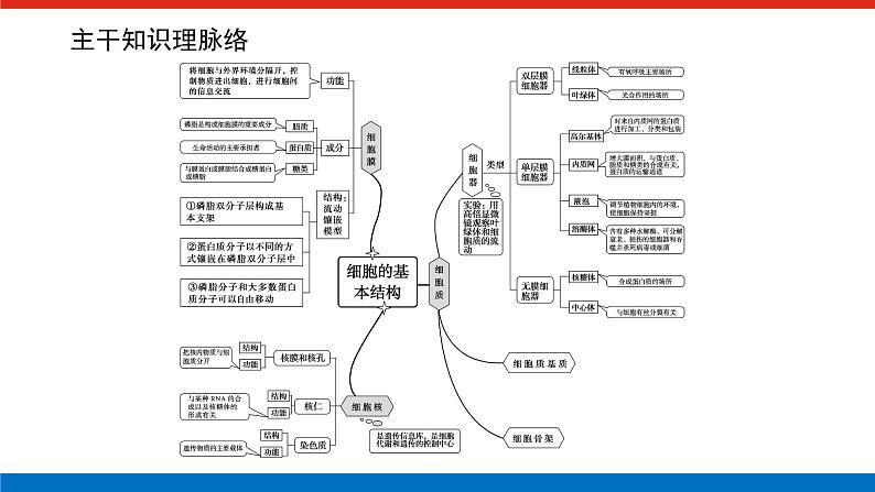 第二章 专项培优课件PPT02