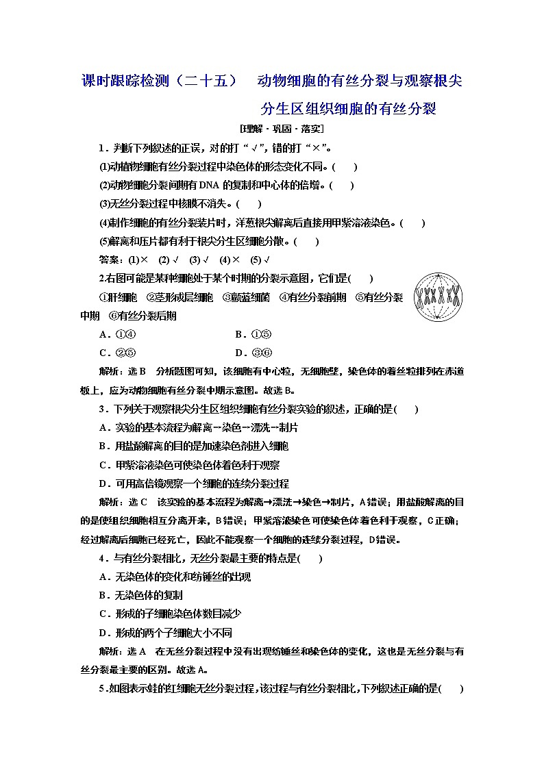 课时跟踪检测（二十五）  动物细胞的有丝分裂与观察根尖分生区组织细胞的有丝分裂第1页