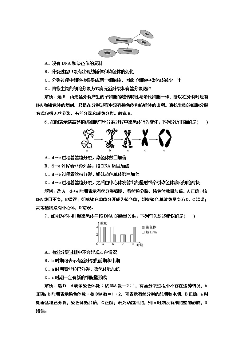 课时跟踪检测（二十五）  动物细胞的有丝分裂与观察根尖分生区组织细胞的有丝分裂02