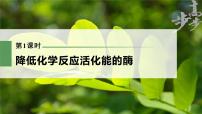 高中生物高考2023年高考生物一轮复习（新人教新高考） 第3单元 第1课时　降低化学反应活化能的酶课件PPT