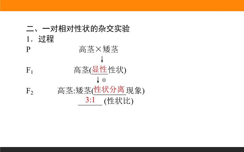 1.1.第1课时　豌豆杂交实验过程及解释课件PPT第6页