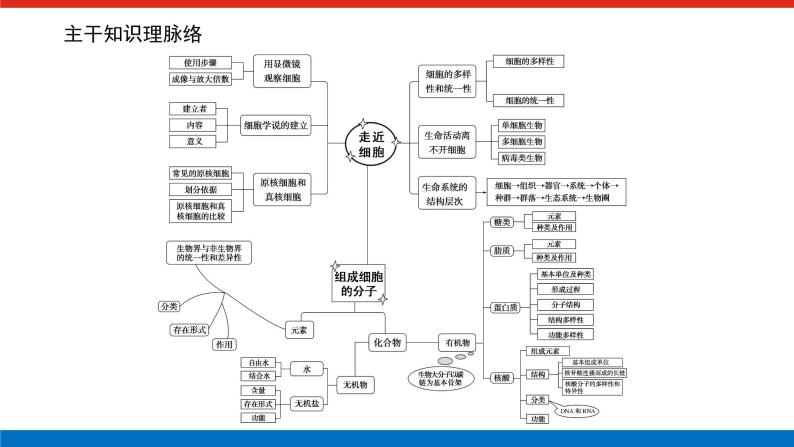 第一章 专项培优课件PPT02