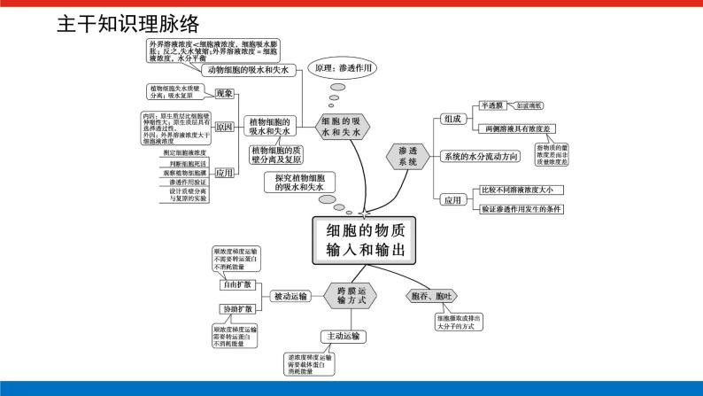 第三章 专项培优课件PPT02