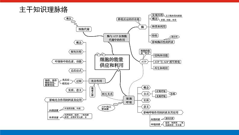 第四章 专项培优课件PPT第2页