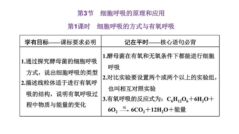 第3节  第1课时  细胞呼吸的方式与有氧呼吸课件PPT01