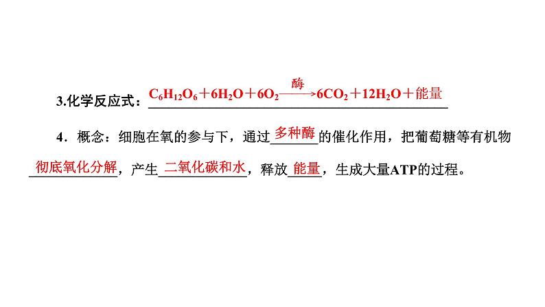 第3节  第1课时  细胞呼吸的方式与有氧呼吸课件PPT07