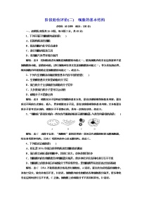 高中生物人教版 (2019)必修1《分子与细胞》第1节 细胞是生命活动的基本单位练习