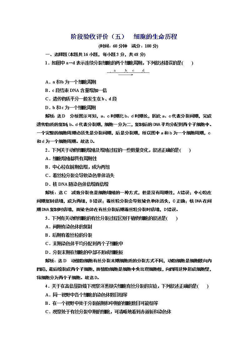 阶段验收评价（五）  细胞的生命历程 试卷01