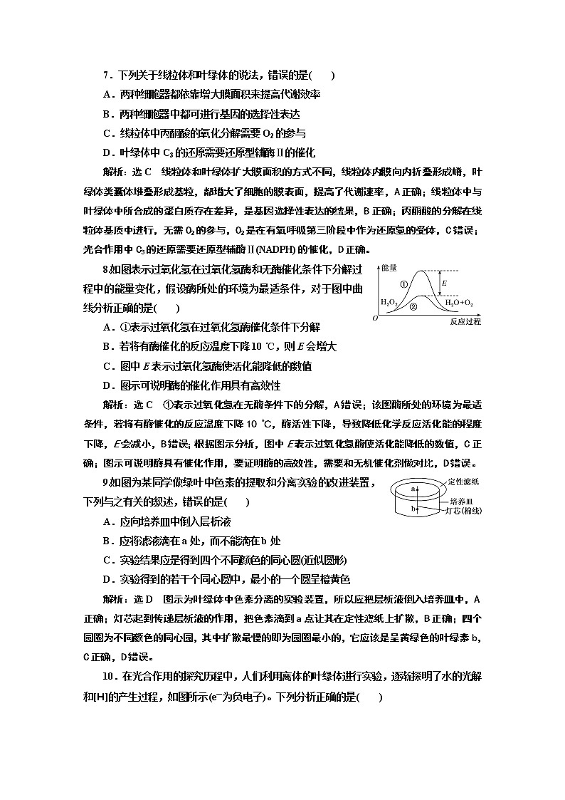阶段验收评价（四）  细胞的能量供应和利用第3页