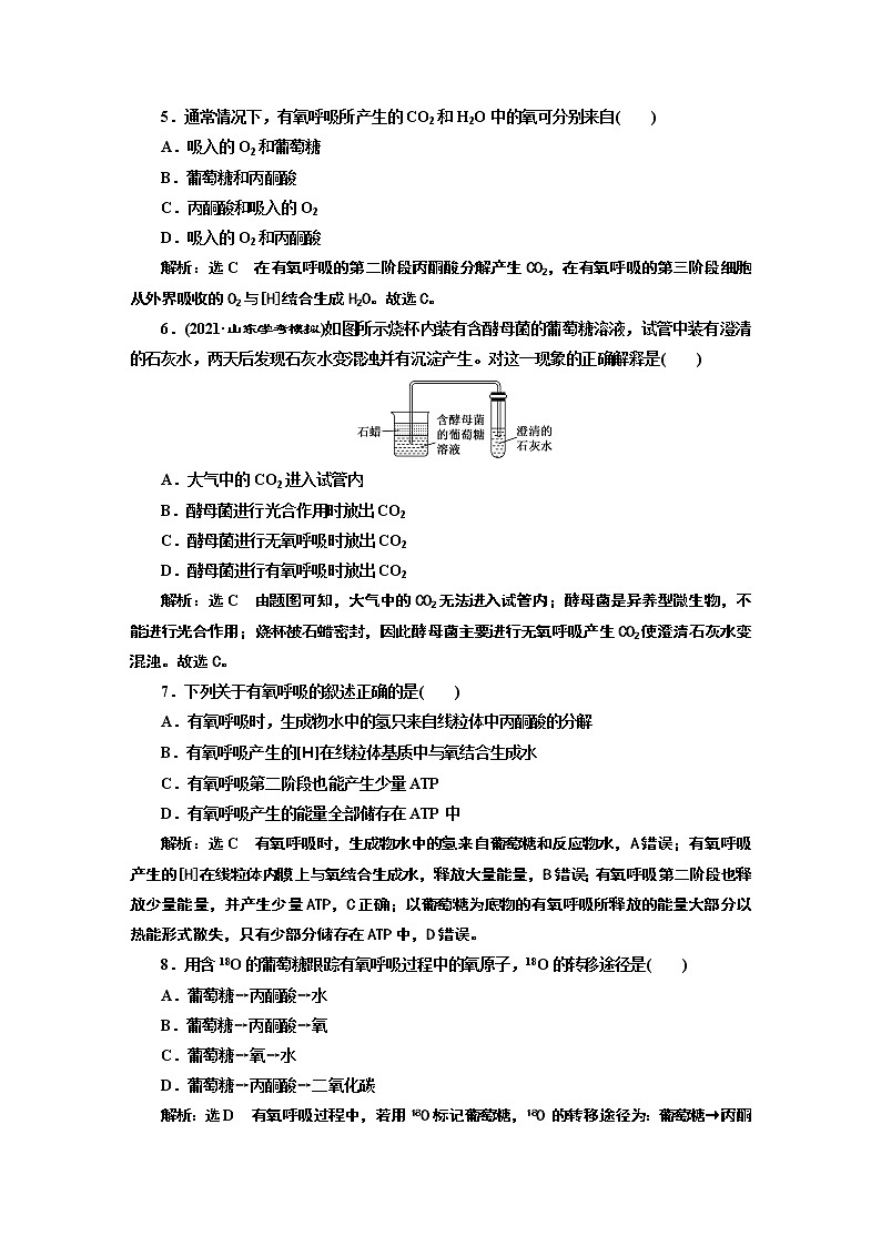 课时跟踪检测（十九）  细胞呼吸的方式与有氧呼吸第2页