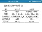 微专题2 光合作用和细胞呼吸的综合应用课件PPT