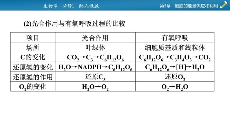 微专题2 光合作用和细胞呼吸的综合应用课件PPT03