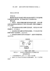 高中生物人教版 (2019)必修2《遗传与进化》第2节 孟德尔的豌豆杂交实验（二）第2课时当堂达标检测题
