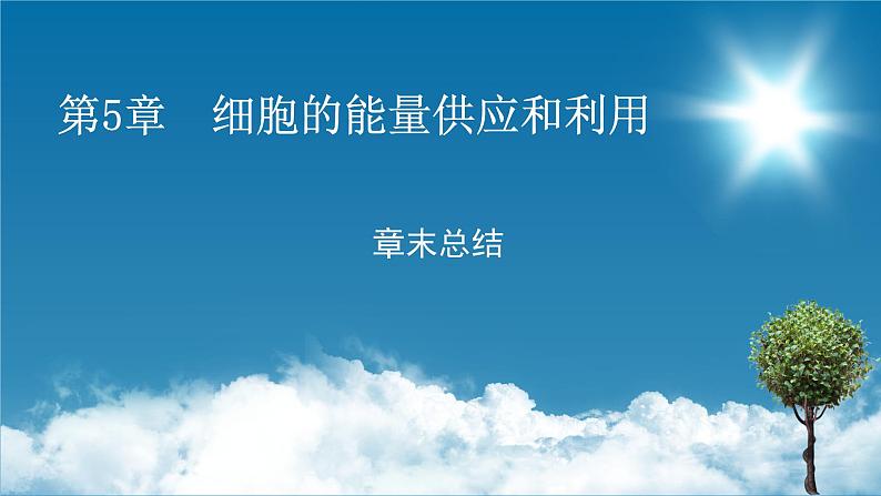 第五章 章末总结课件PPT第1页