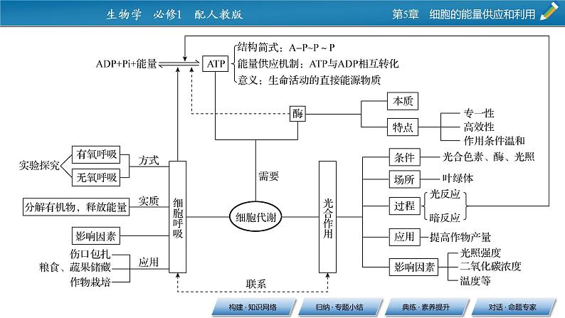 第五章 章末总结课件PPT第3页