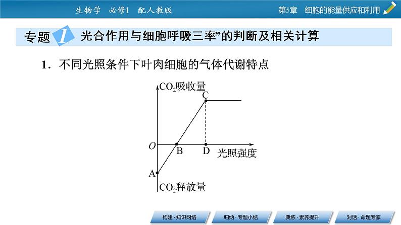 第五章 章末总结课件PPT第5页