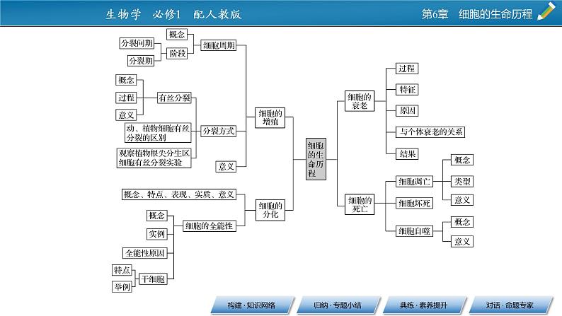 第六章 章末总结课件PPT03