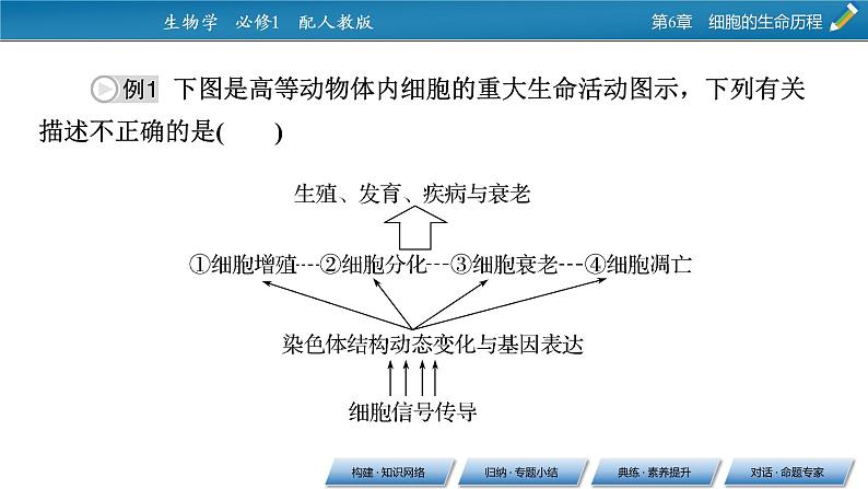 第六章 章末总结课件PPT08