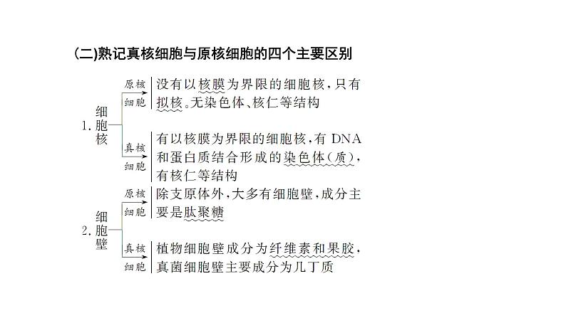 第1~2章  走近细胞和组成细胞的分子课件PPT04