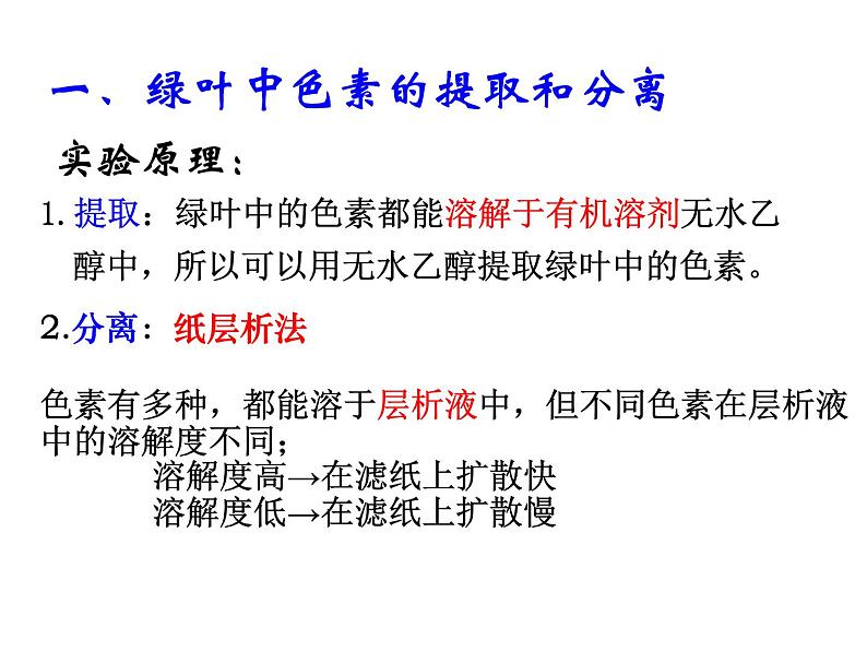 高中生物第一册 《一 捕获光能的色素和结构》名师优质课课件04