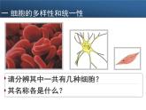 高中生物第一册 《第2节 细胞的多样性和统一性》多媒体精品课件