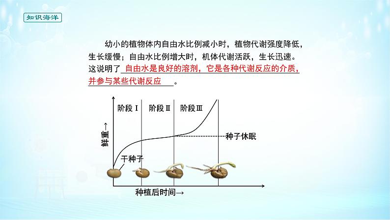 高中生物第一册 《第2节 细胞中的无机物》集体备课课件08